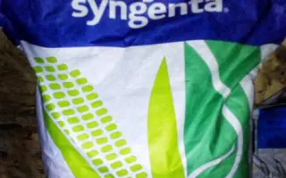 SY Ondina / СИ Ондіна