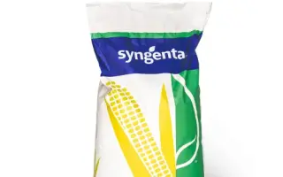 SY Respect / СИ Респект