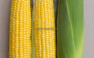 Славутич 224 СВ