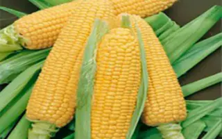 Trilogi CS / Трілоджі КС