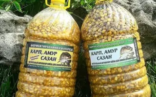 FARMPORT / ФАРМПОРТ