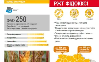 FIDOXXI / ФІДОККСІ