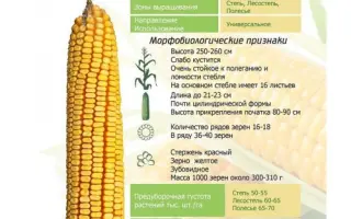 Харьковский 18 СВ / Харківський 18 СВ