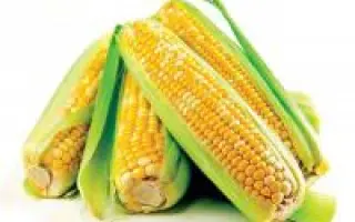 Харьковский 291 МВ / Харківський 291 МВ