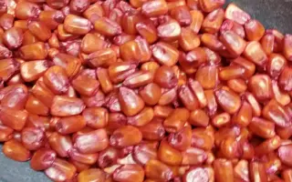 Харківський 295 МВ