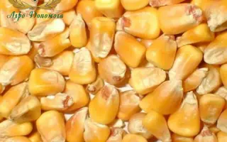 Харківський 325 МВ