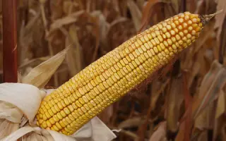 Харківський 340 МВ