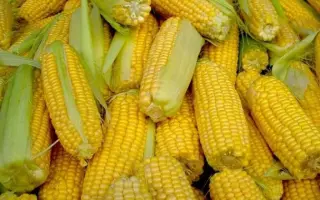 Ceresia / Церезія