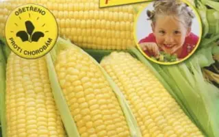 LUXIMO / ЛЮКСІМО