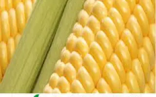 TELARI / ТЕЛАРІ