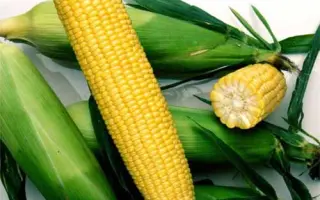 Novania / Нованія