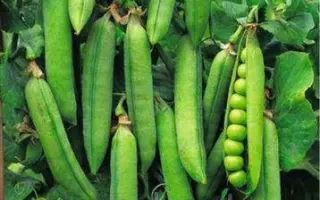 Boston / Бостон