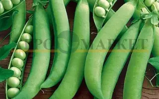 Butana / Бутана