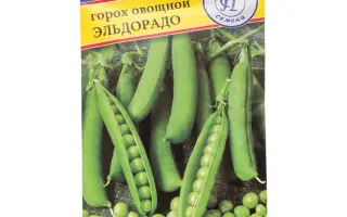 ELDORADO / ЕЛЬДОРАДО