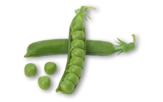 MEDION / МЕДІОН