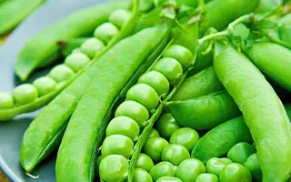 ROMAGO / РОМАГО