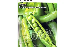 TROPHEE / ТРОФІ