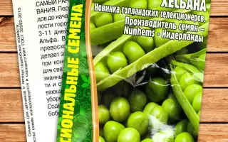 Hesbana / Хесбана