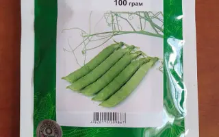 IDALGO / ІДАЛГО