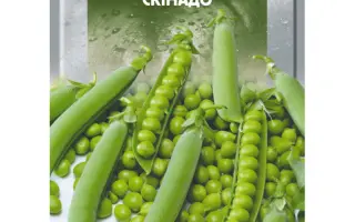 Skinado / Скінадо