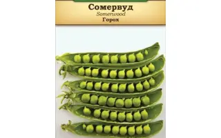 Somerwood / Сомервуд