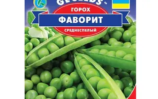 Favorit / Фаворит