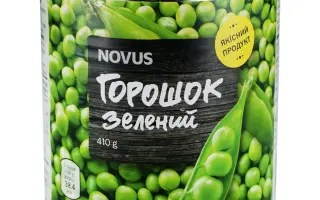 Notorius / Ноторіус