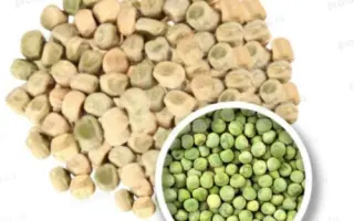 Avatar / Аватар