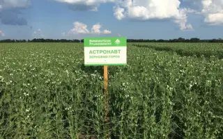 Astronaute / Астронавт