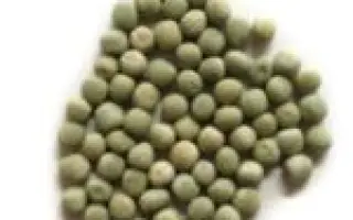 VERBAL / ВЕРБАЛ