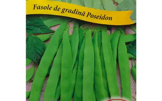 Poseidon / Посейдон