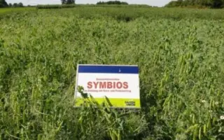 Symbios / Симбіоз