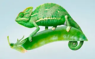 KAMELEON / ХАМЕЛЕОН