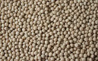 Gregor / Грегор