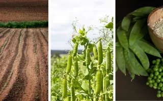 Харківський 317