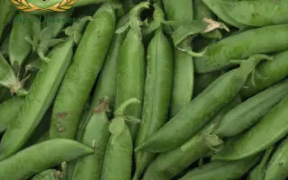 Харьковский янтарный / Харківський янтарний