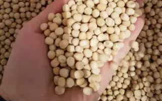 Balkan / Балкан