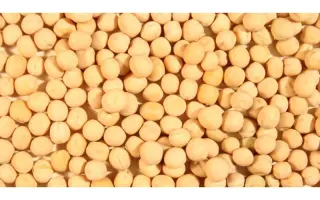 Balltrap / Балтрап