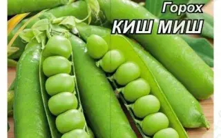 Kosmaj / Космай