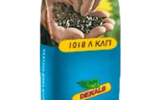 1018L CLP / 1018Л КЛП