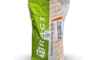 ALLEGRO CLP / АЛЛЕГРО КЛП