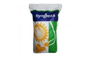 Alcantara / Алькантара