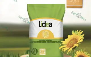 Argensol 72 CL / Аргенсол 72 КЛ