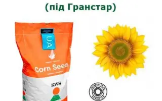 ARNETES SU / АРНЕТЕС СУ