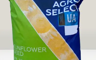 AS Rapid / АС Рапід