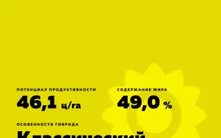 Боярин