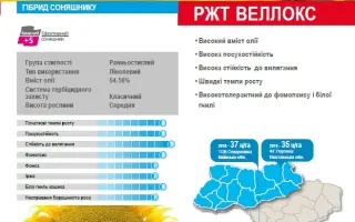 Vellox / Веллокс