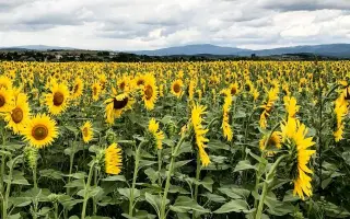 Hipersol / Гіперсол