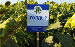 Goldy IR / Голді ІР