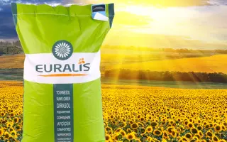 ES Balistic CL / ЕС Балістік СЛ